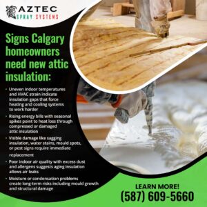 energy-efficient attic insulation