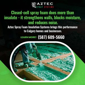 energy-efficient attic insulation